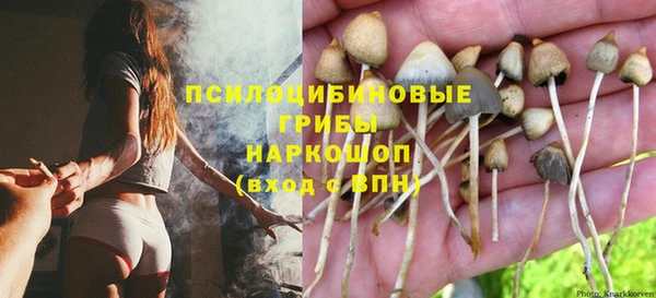 скорость Баксан